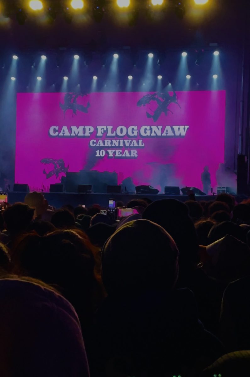 Camp Flog Gnaw