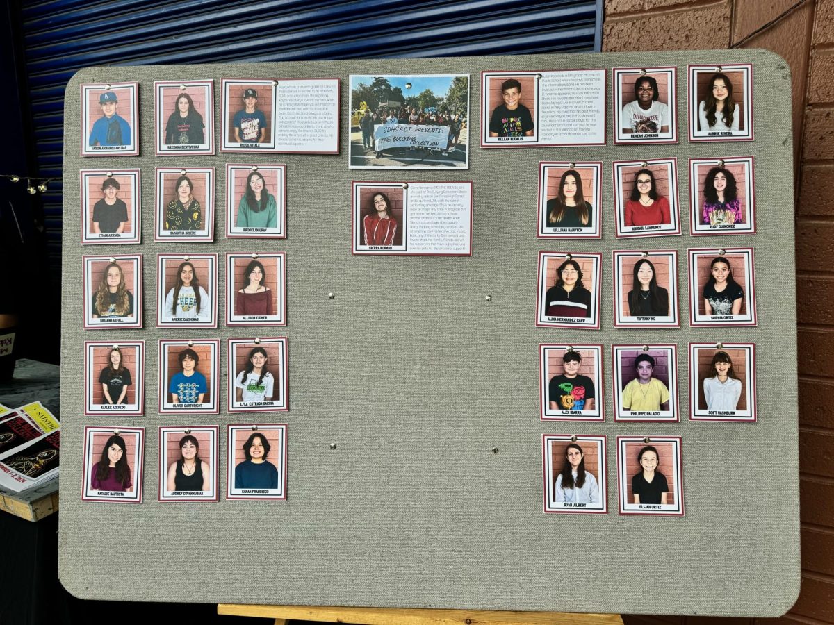 Board of cast member head shots outside of D9 where The Bullying Collection was performed. 