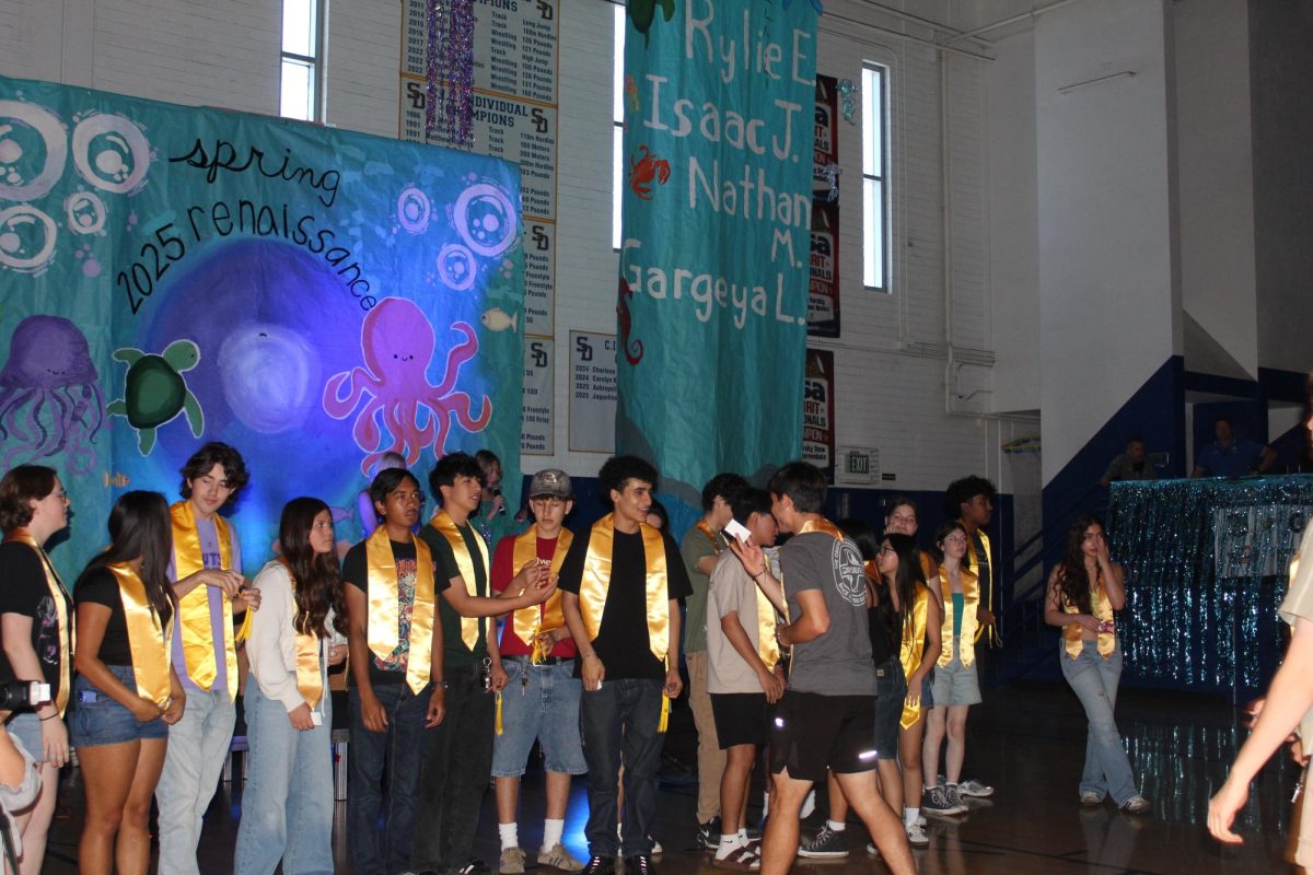Renaissance Rally