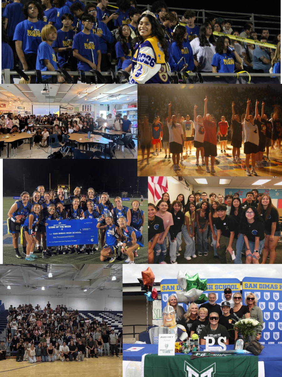 First Semester Recap